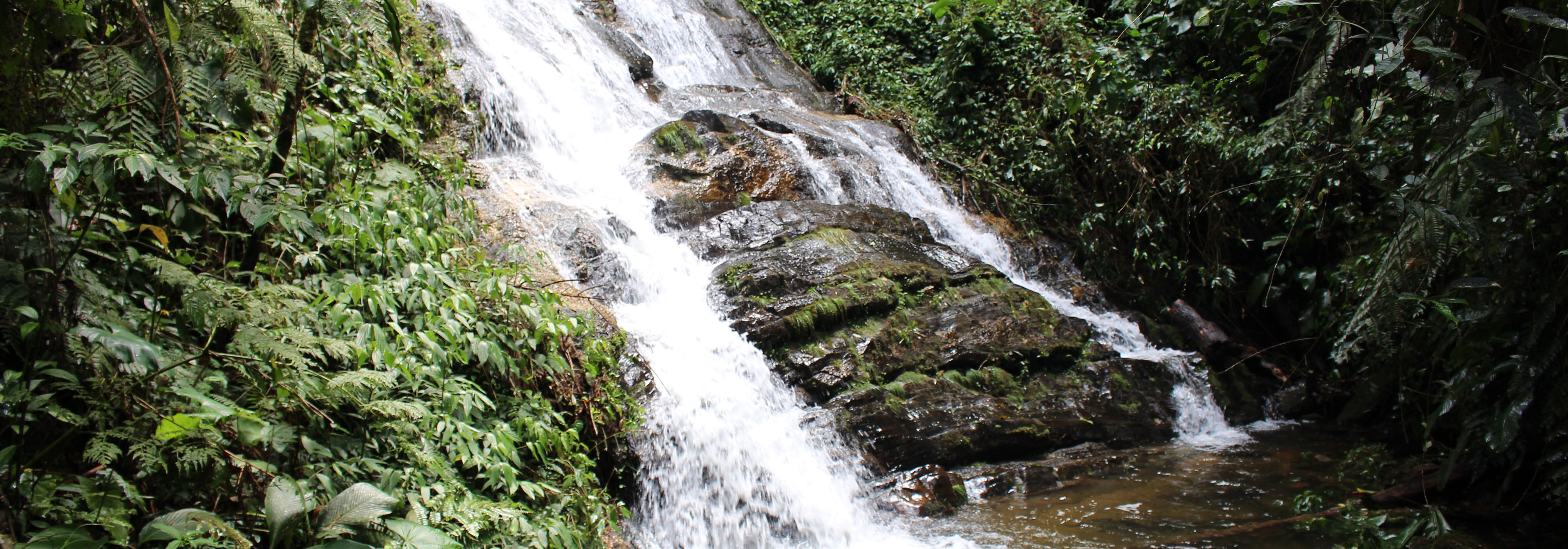 Cachoeira